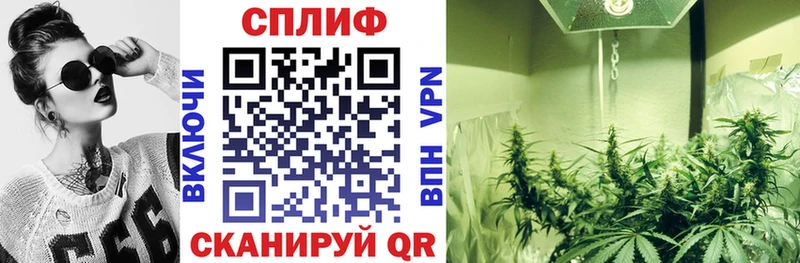 Наркотические вещества Аша mega Cocaine Амфетамин Гашиш Конопля
